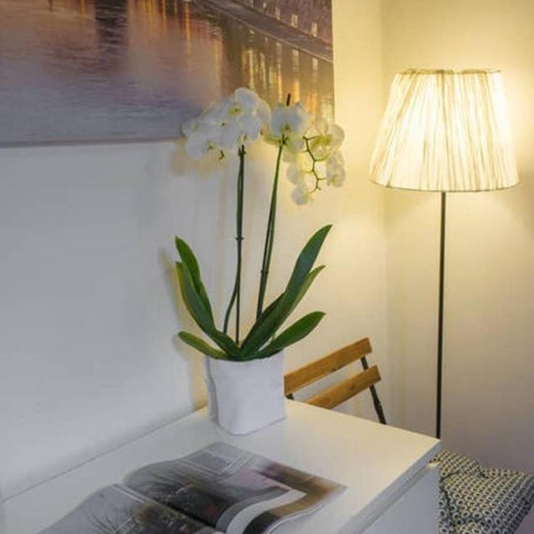 Rooftop view house near Piazza Navona - Appartamento con 1 Camera da Letto - 11