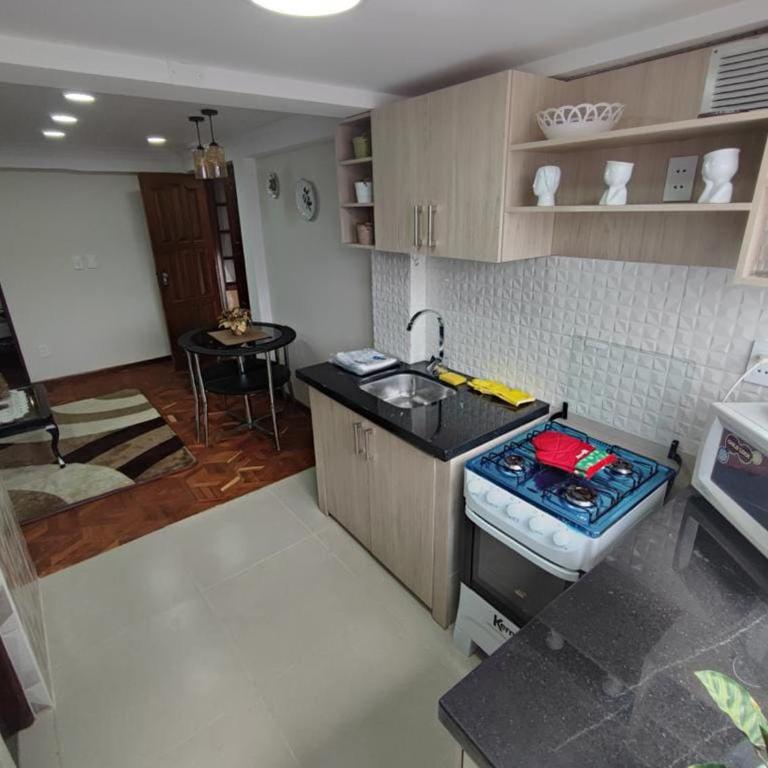 La culta Elegante - Apartamento de 1 dormitorio - 13