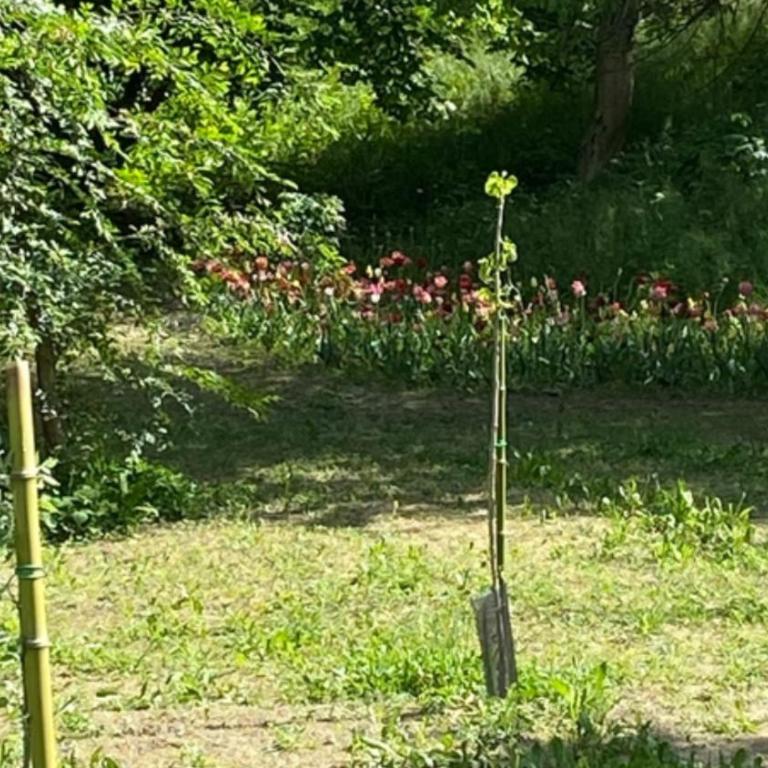 Appartamento Roero cottage 3 - Appartamento - 17