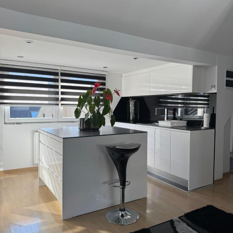 Luxury Studio Black & White - Two-Bedroom Apartment - 26