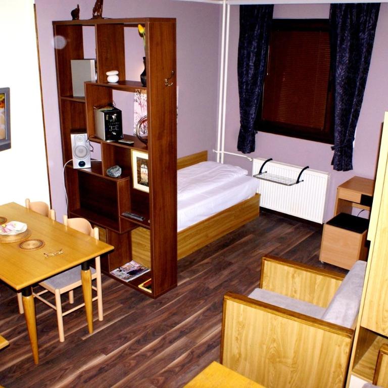Vila Nikola 202 centar - One-Bedroom Apartment - 12