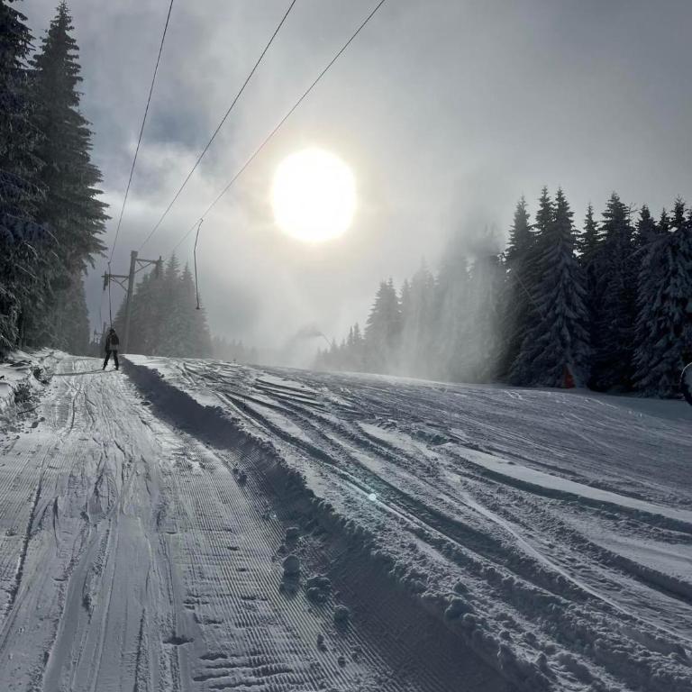 Vila Nikola 202 centar - Apartman sa 1 Spavaćom Sobom - 10