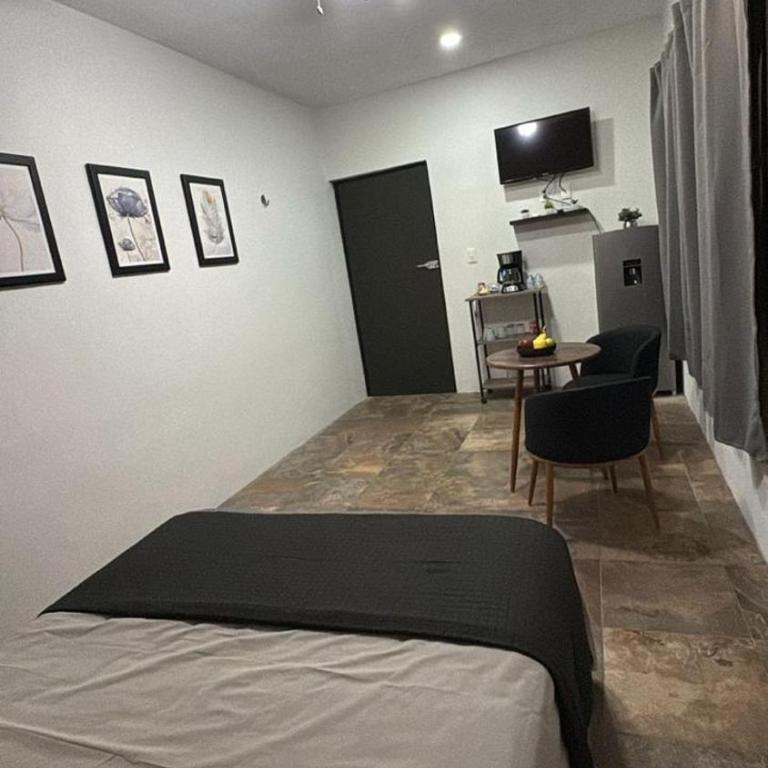 Depto Cenote - Apartamento de 1 dormitorio - 11