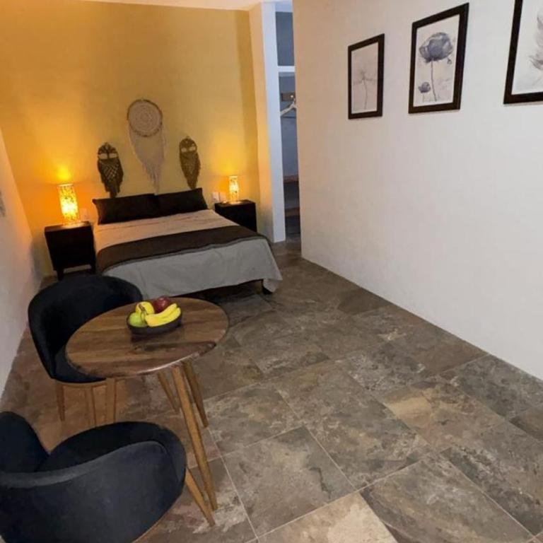Depto Cenote - Apartamento de 1 dormitorio - 14