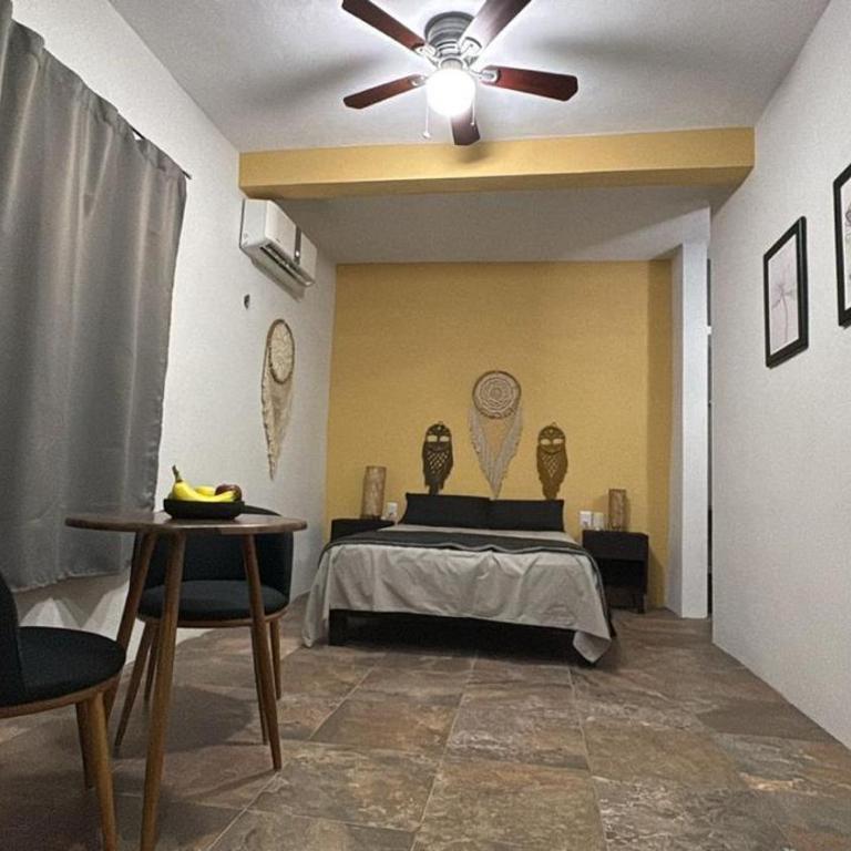 Depto Cenote - Apartamento de 1 dormitorio - 23