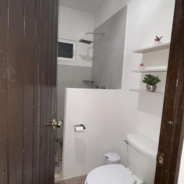 Depto Cenote - Apartamento de 1 dormitorio - 25