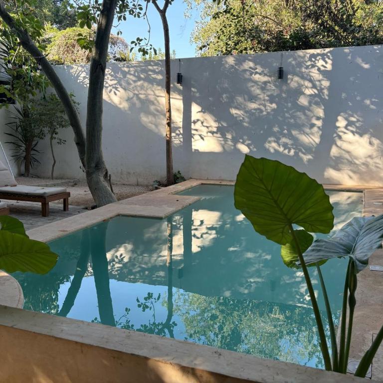 Casa Ramona - Apartment with Terrace - 1