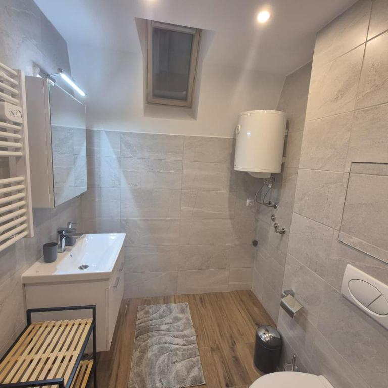 Gajić Apartment - One-Bedroom Apartment - 11