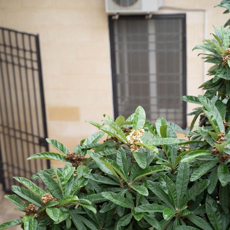 Victoria Apt - Historical Centre Lecce - Appartamento con 2 Camere da Letto - 12