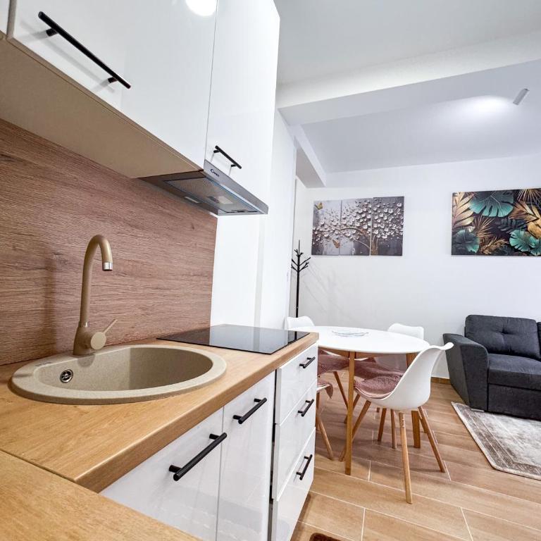 Mountain Whisper Jahorina - Apartman sa 1 Spavaćom Sobom - 11