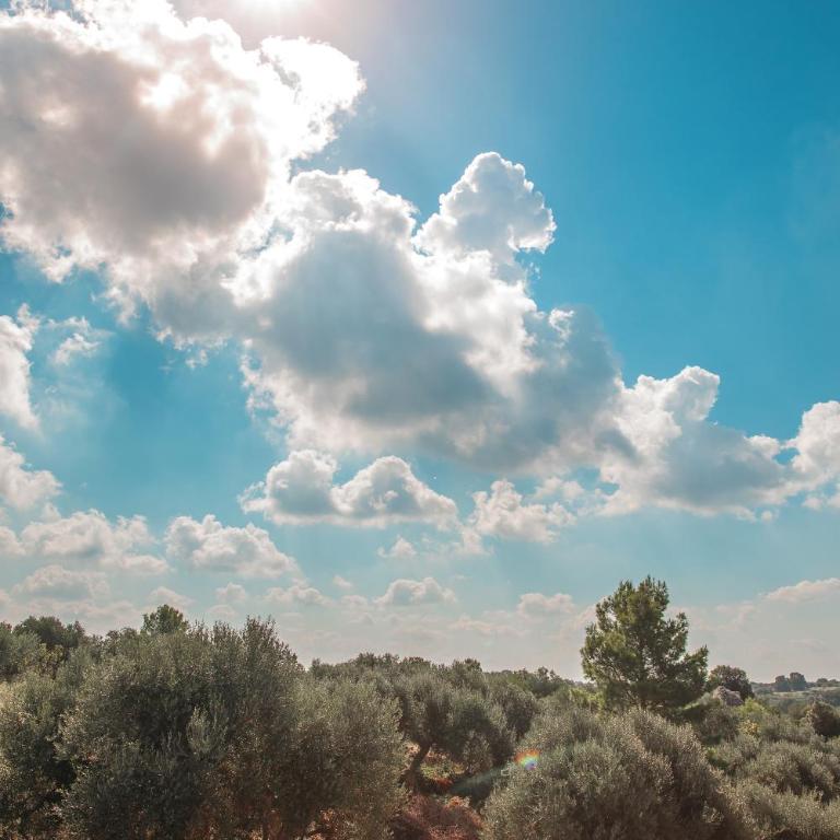 Luxury Trullo Termetrio - Appartamento - 38
