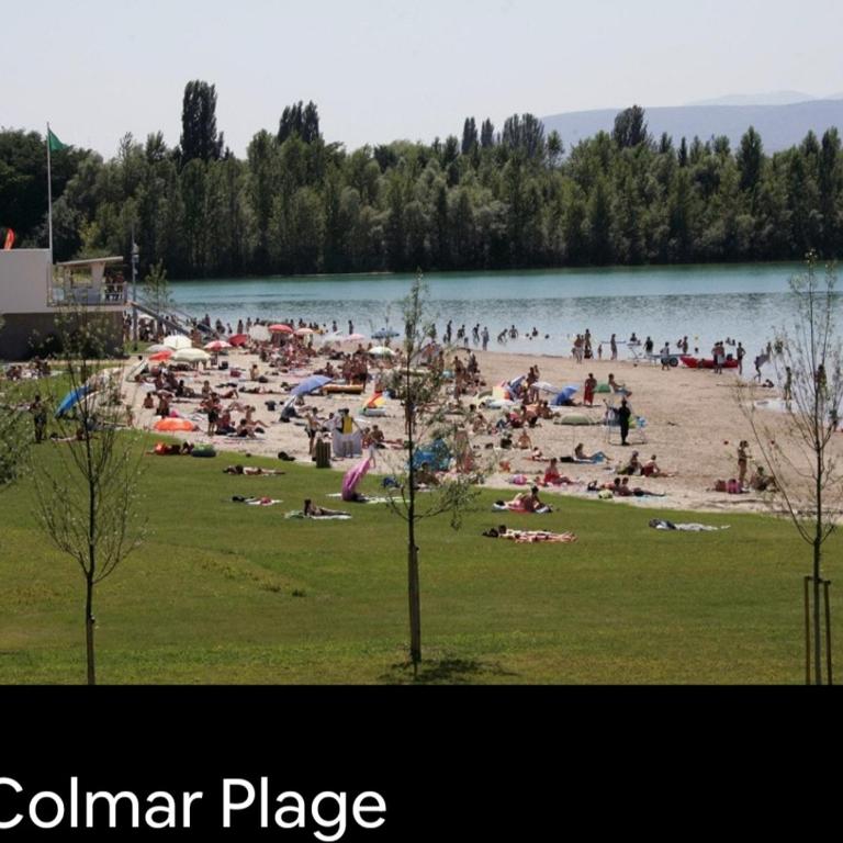Centre de Colmar Zum Harzala - Apartment mit 1 Schlafzimmer - 15