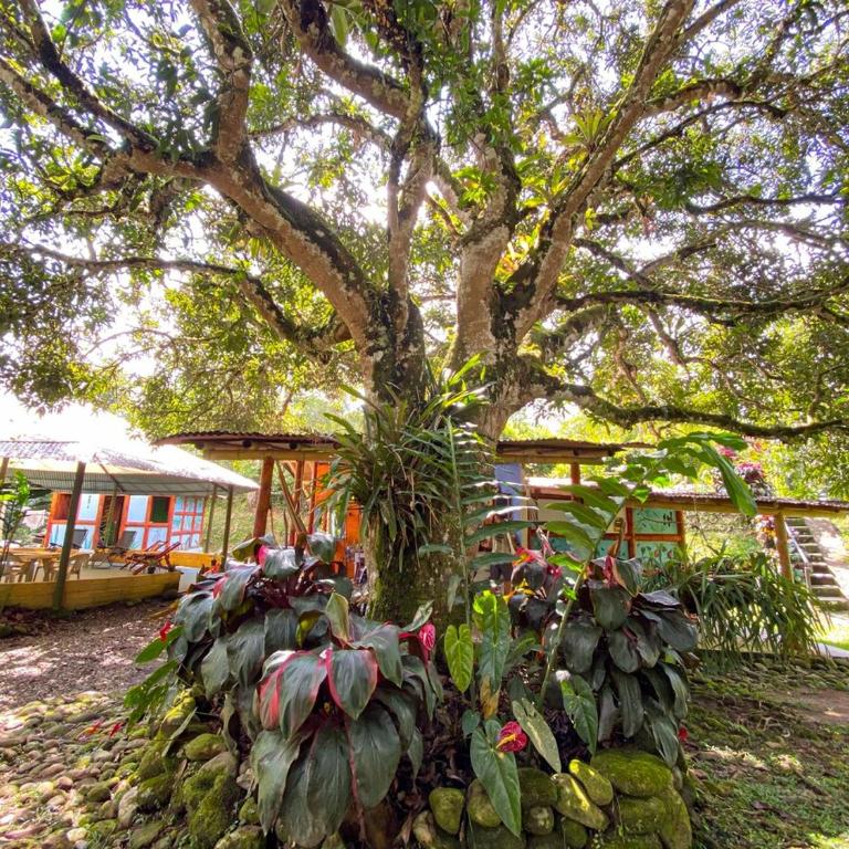 Habitación ideal para parejas con acceso al rio, wifi y mucha naturaleza - Apartamento de 1 dormitorio - 28