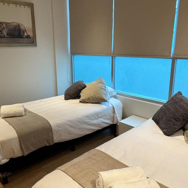 MD Zamora Condesa - Two-Bedroom Apartment - 8