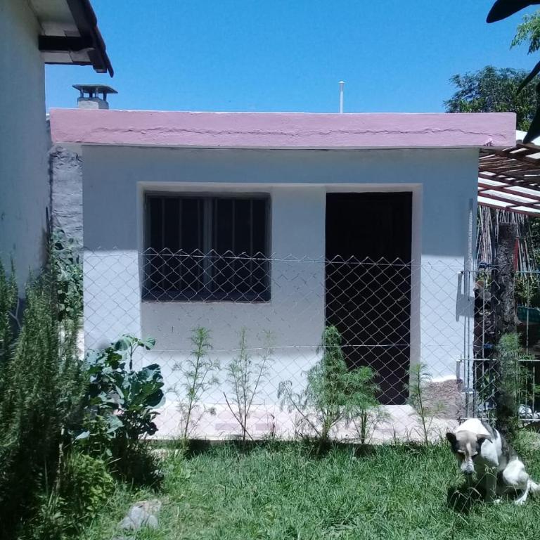 Departamento MGS - Apartamento de 1 dormitorio - 1