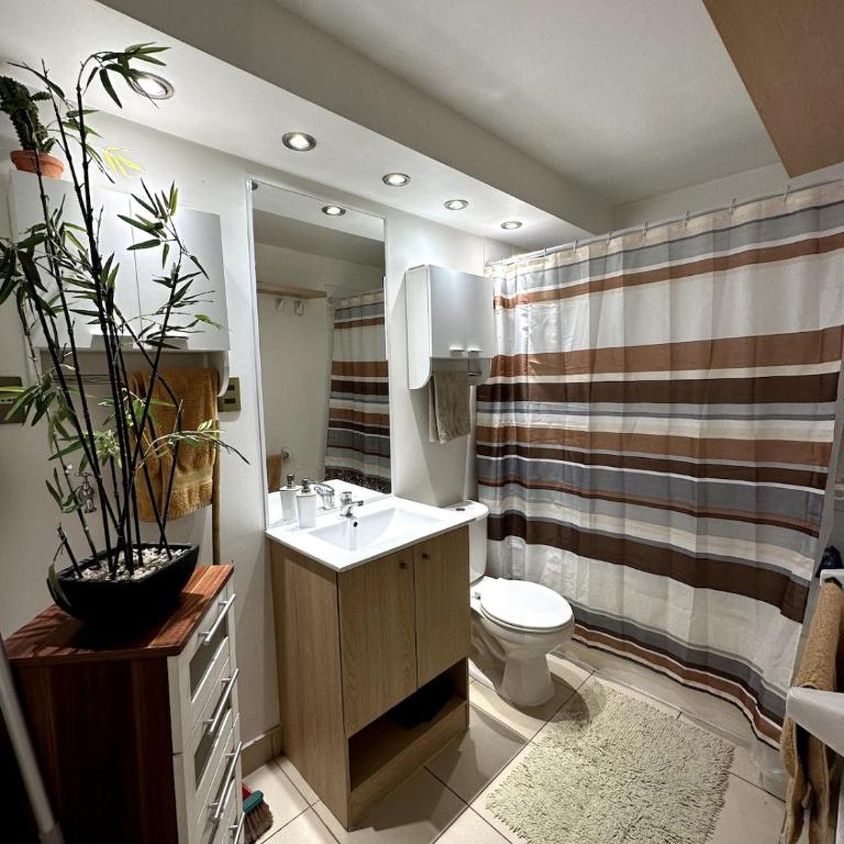 Departamento completo y muy cómodo - Apartamento de 2 dormitorios - 12