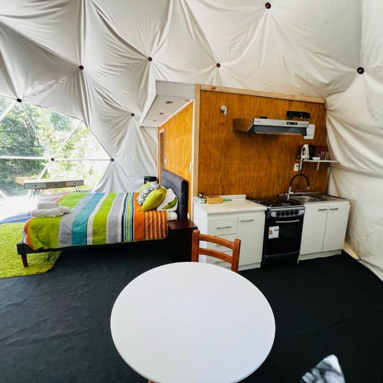 Domo Panigal - One-Bedroom Apartment - 4