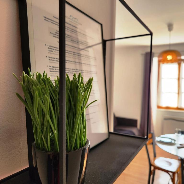 Appartements Confidence - hyper centre ville, calme SEJOURAIXLESBAINS - Standard Apartment - 9