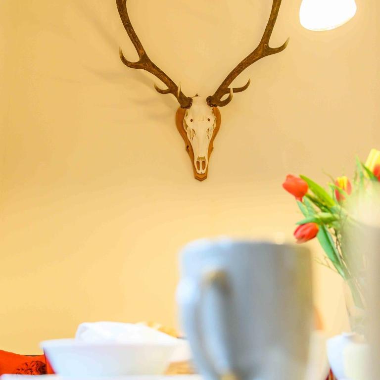Appartement Waldhof - Appartement Suite - 6