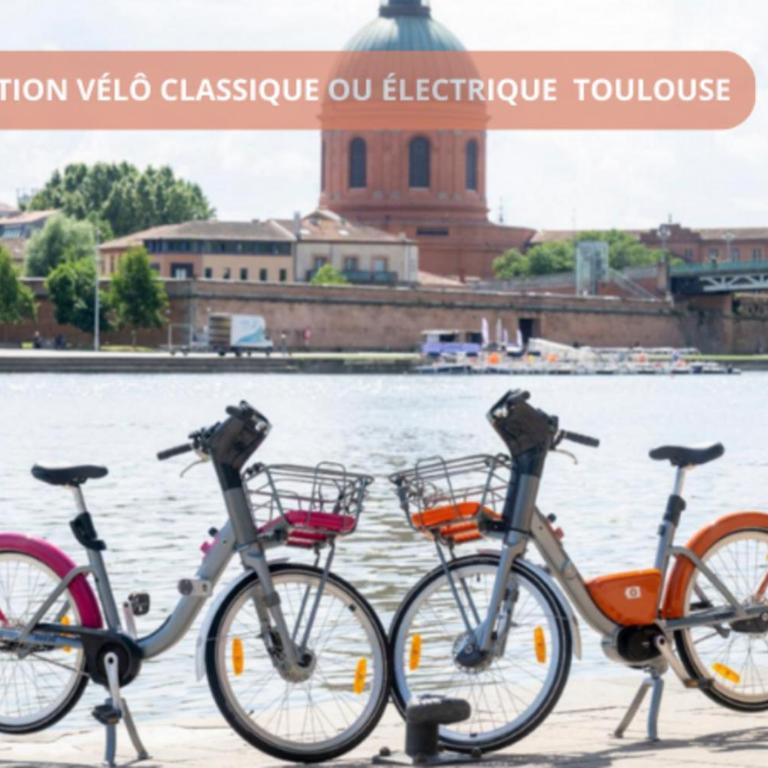 T2 Calme absolu - Coeur Toulouse - Saint Cyprien - climatisation - Terrasse arborée - One-Bedroom Apartment - 36