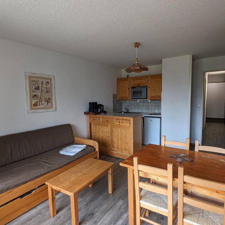 Studio confortable 4 pers, animaux admis, au pied des pistes - FR-1-811-30 - Studio - 1