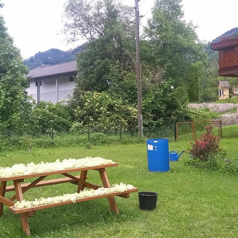 Alie Gusta - Doppelzimmer mit eigenem Bad - 33