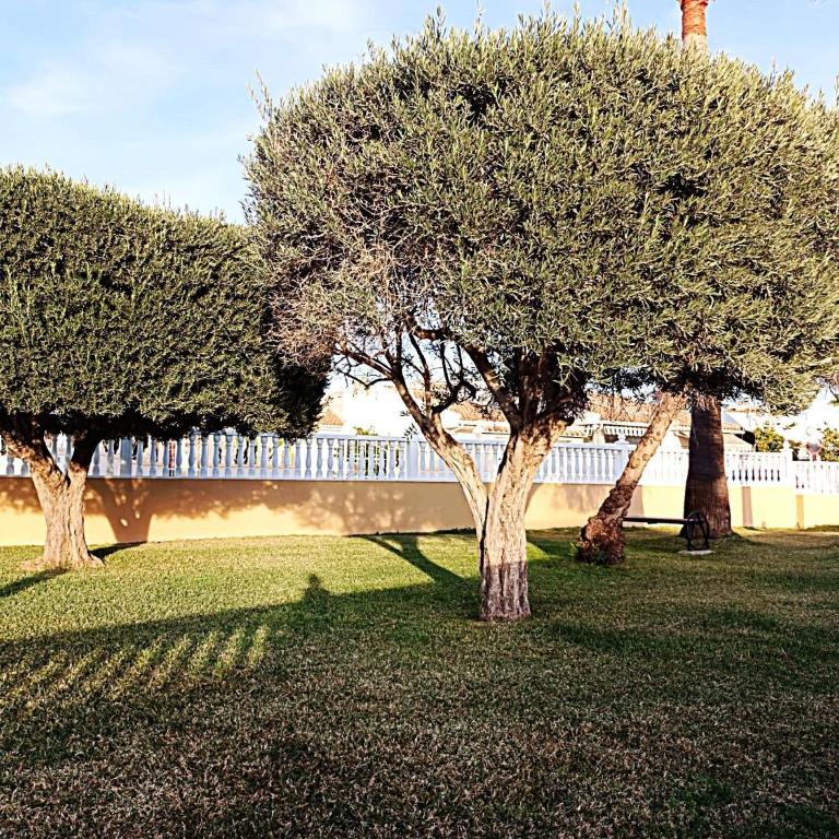 Bungalow near the beach in Torrevieja, Aguas Nuevas - Maison de Vacances - 43