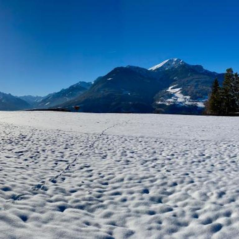 Apartment Wiesenhof - NATUR & WEITBLICK über Innsbruck - Ladestation für Elektroautos - Deluxe Apartment - 35