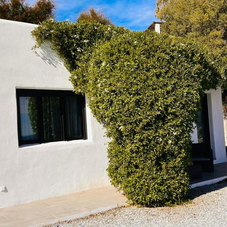 MENTIROSANATA - Casa con 1 dormitorio - 70