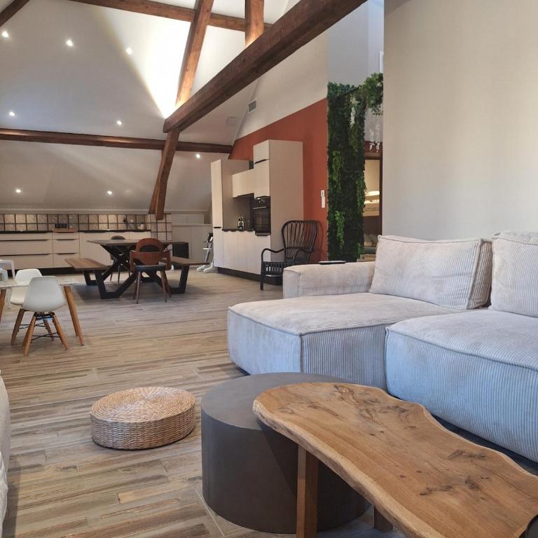 Le Loft du Centre Ville - Apartamento de 3 dormitorios - 4