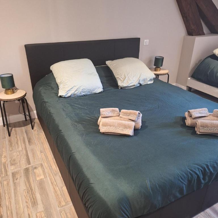 Le Loft du Centre Ville - Apartamento de 3 dormitorios - 11