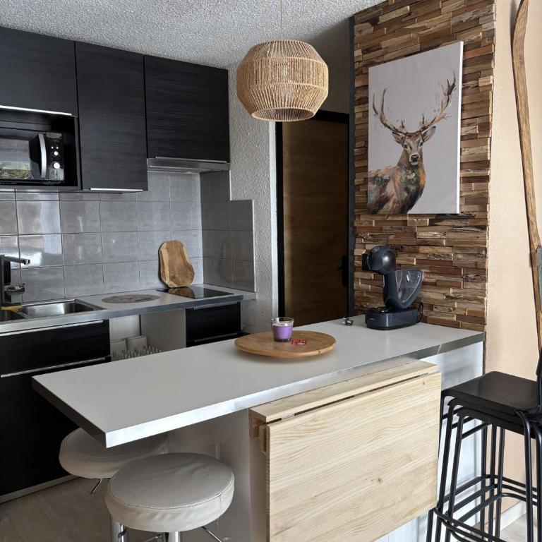 Appartements au cœur de la station de ski "La Foux D'allos" - Appartement - 1