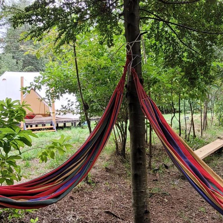 Glamping Bosque - Río Villarrica - Tienda - 7