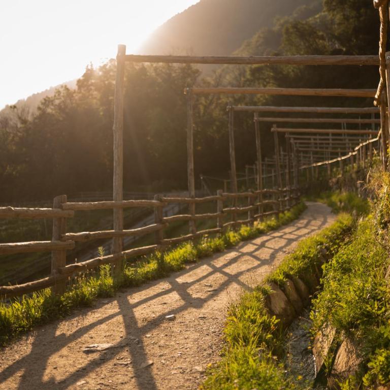 Pergola Residence - Suite avec Terrasse - 66