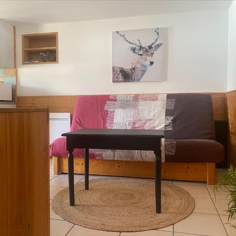 Appartement dans les aravis, proche du Grand Bornand et de la Clusaz - Appartement 1 Chambre - 3