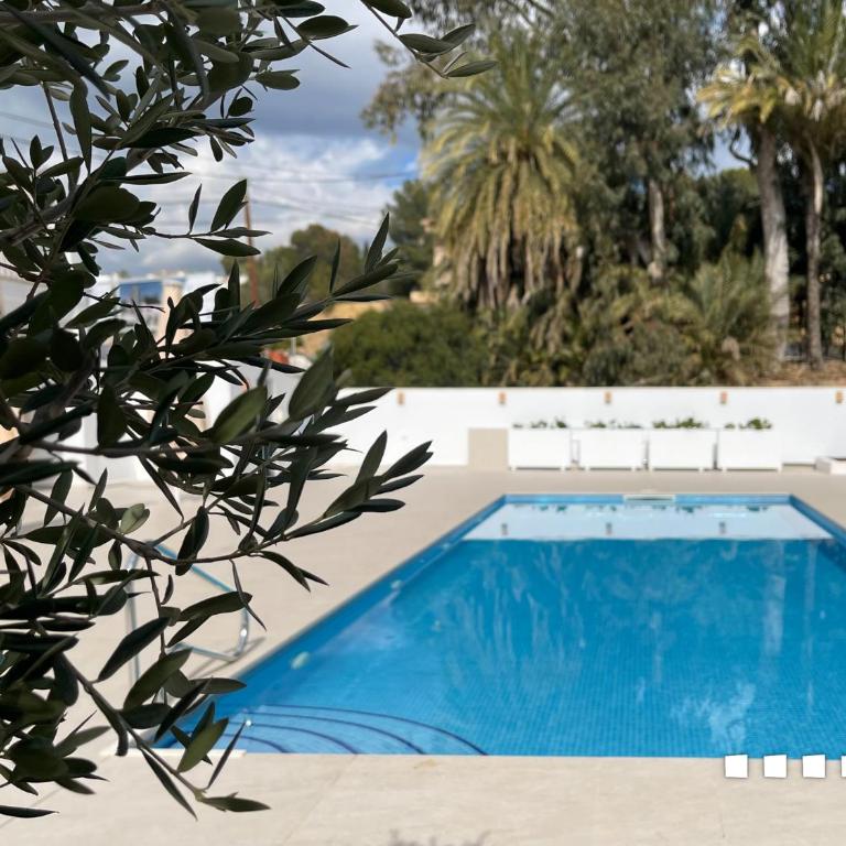 VH Costa Blanca - APARTAMENTO MARTA BEACH 2 - Apartamento de 1 dormitorio - 10