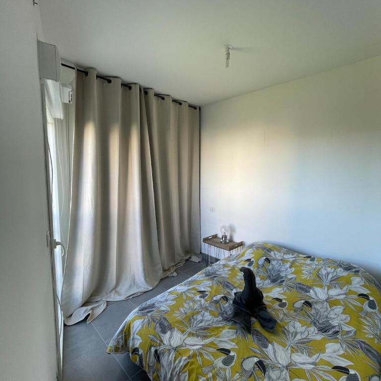 Apartment in Montpellier - Apartment mit 1 Schlafzimmer - 10