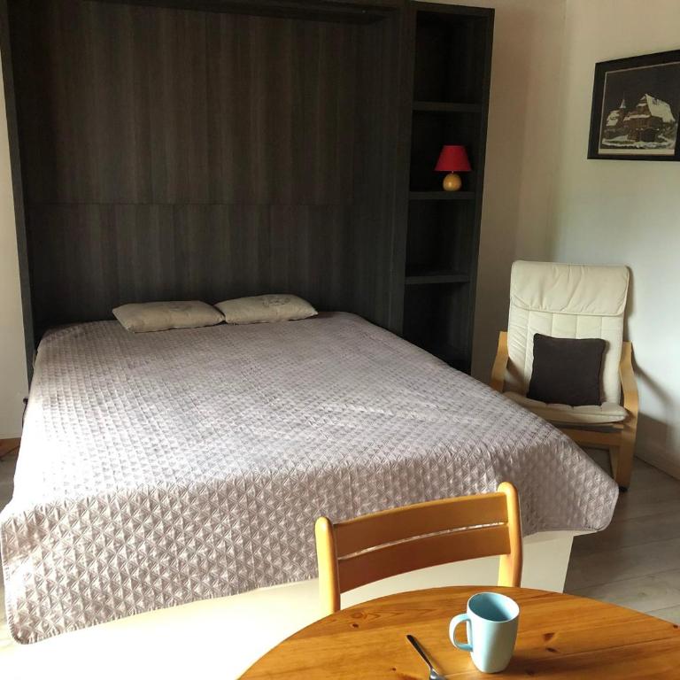 Studio lumineux 2* tout confort à Brides-les-Bains, WIFI, animaux admis - Studio - 14