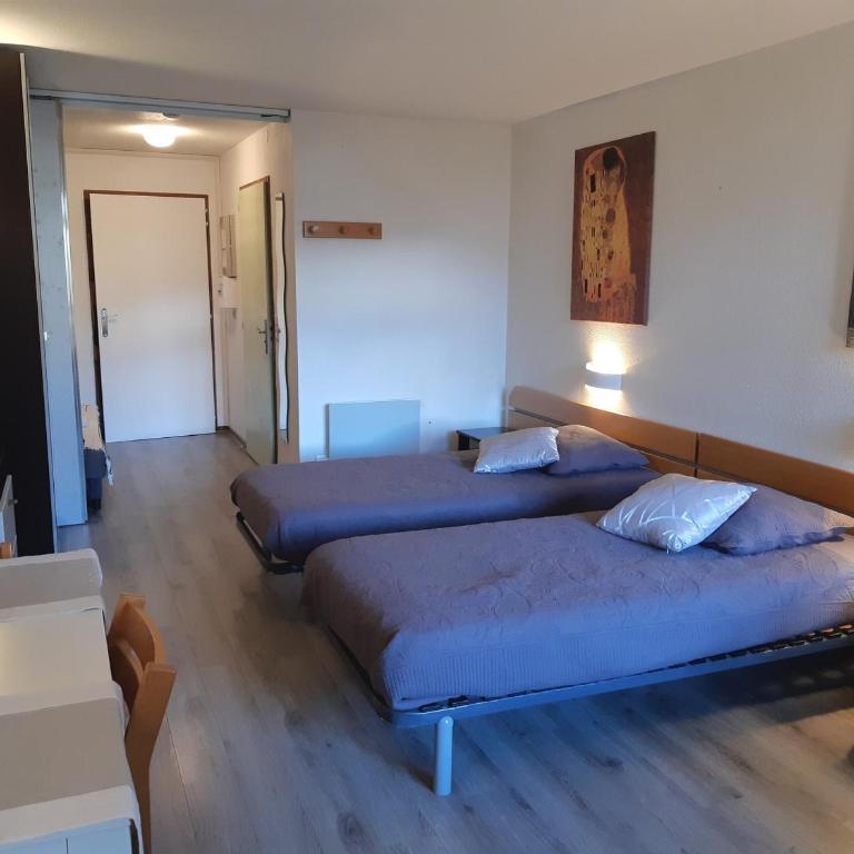 Studio confortable 28m², 4 pers, animaux admis, parking, wifi - Studio - 13