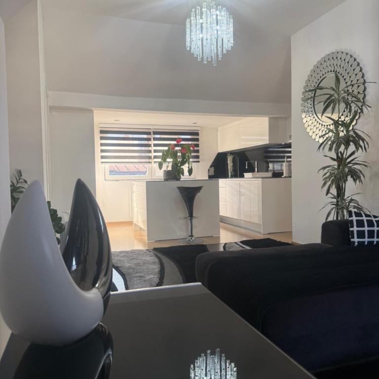 Luxury Studio Black & White - Two-Bedroom Apartment - 15