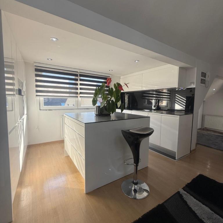 Luxury Studio Black & White - Two-Bedroom Apartment - 27