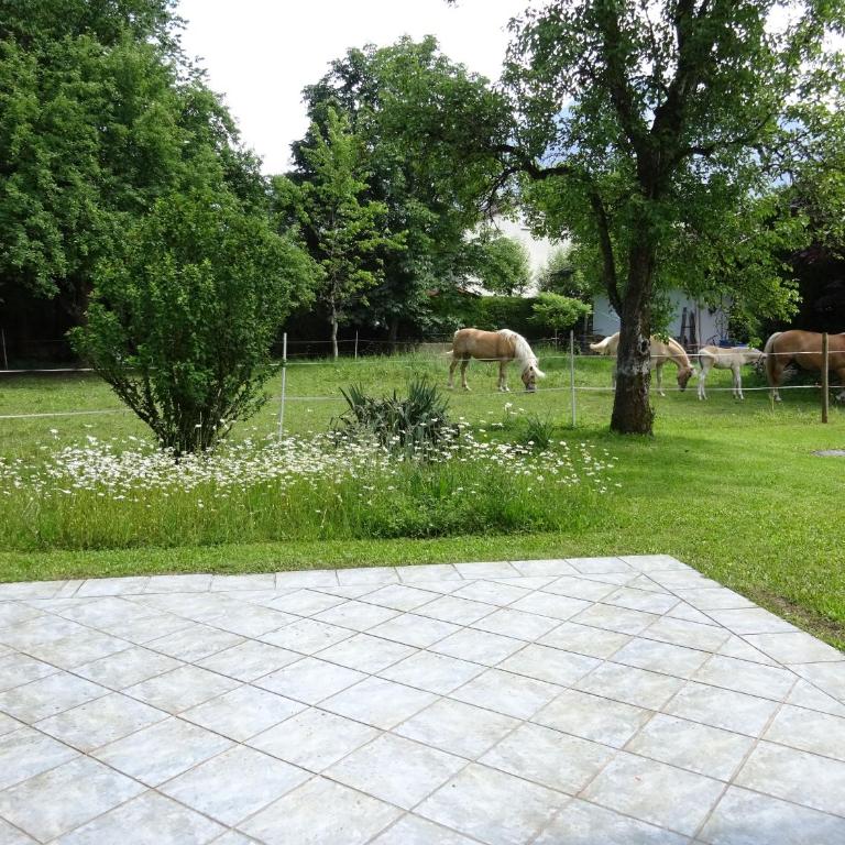 Ferienwohnungen Auhaus - Apartment mit 2 Schlafzimmern - 14
