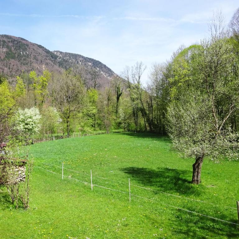 Ferienwohnungen Auhaus - Apartment mit 1 Schlafzimmer - 13