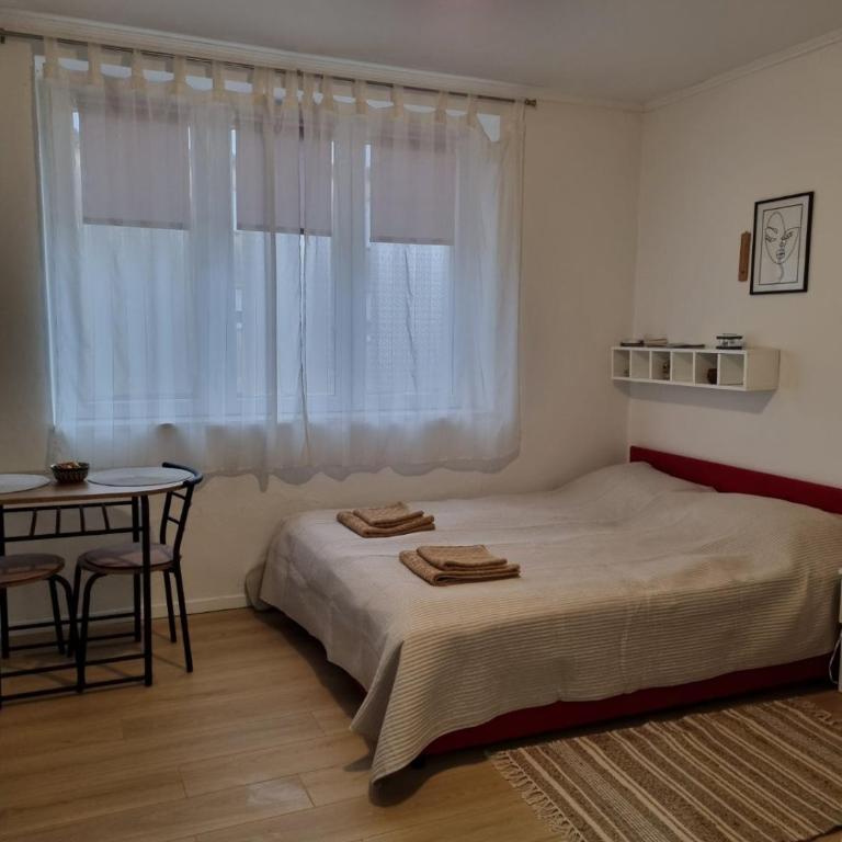 Apartman T&T - Apartman sa 1 Spavaćom Sobom - 1