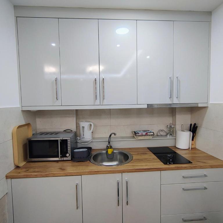 Apartman Vanesa - Apartman sa 1 Spavaćom Sobom - 2