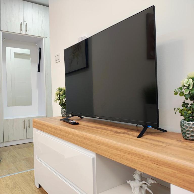 Apartman Vanesa - Apartman sa 1 Spavaćom Sobom - 4