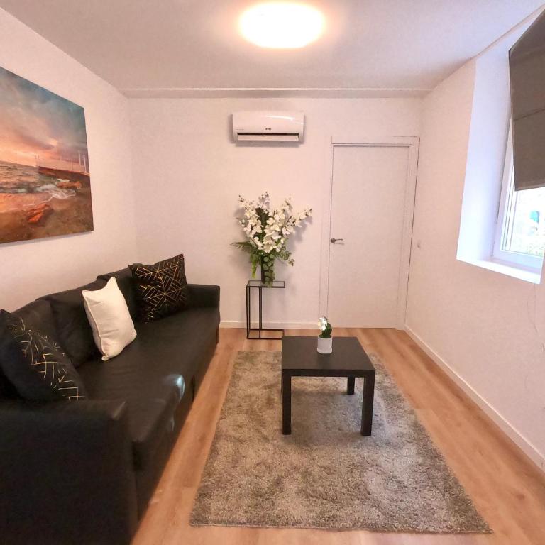 Oshun Valdecanillas - One-Bedroom Apartment - 5