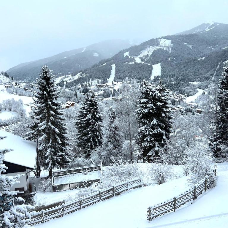Chalet Ski in by Globalimmoservice - Haus mit 1 Schlafzimmer - 20