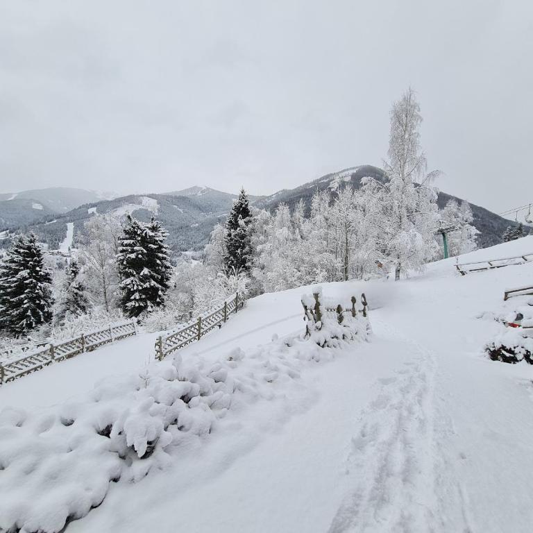 Chalet Ski in by Globalimmoservice - Haus mit 1 Schlafzimmer - 26