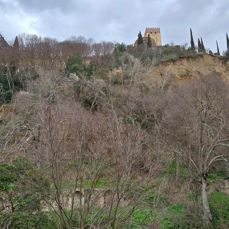 Casa Ruan Albaicín, Torre de Comares - Two-Bedroom Apartment - 26
